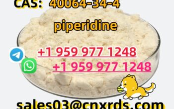 Sold in powder piperidine CAS:40064-34-4