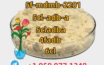 CAS:137350-66-4 Source manufacturer, high quality