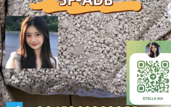 5F-ADB cas 1715016-75-3