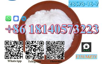 New PMK Powder CAS 28578-16-7 With High purity