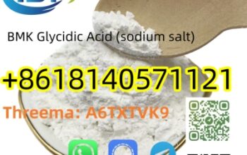 CAS 5449-12-7 BMK powder With Best Price