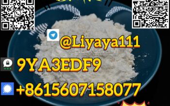 Most best-selling CAS 5449-12-7 BMK powder/oil