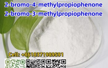 2-Bromo-1-Phenyl-1-Butanone C10H11BrO CAS 1451-83-