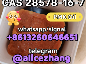 CAS 28578-16-7 PMK ethyl glycidate PMK Oil bluk