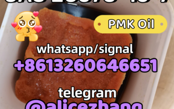 CAS 28578-16-7 PMK ethyl glycidate PMK Oil bluk