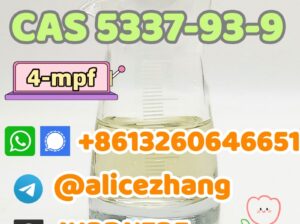 CAS 5337-93-9 mpp 4-mpf factory supply with best p