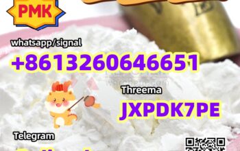 CAS 28578-16-7 PMK ethyl glycidate PMK Powder low