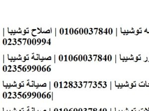 خدمة عملاء ثلاجات توشيبا شبراخيت 01095999314