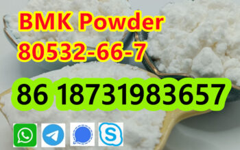 CAS 80532-66-7 BMK Methyl Glycidate Powder