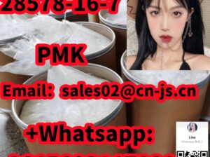 28578-16-7 PMK fast delivery