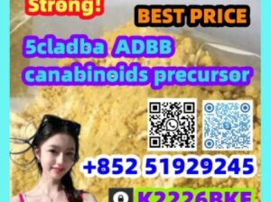 :2709672-58-0 5cladba Feedback from the market and