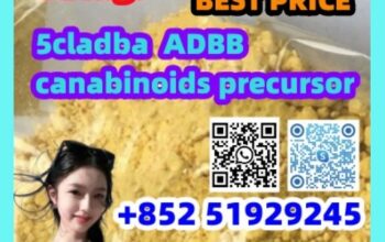 :2709672-58-0 5cladba Feedback from the market and