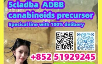 :2709672-58-0yewllow powder, 5cladba,4cl,5f OPIOID