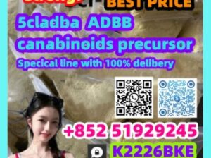 2709672-58-0 5cladba pure rew chemical powder with