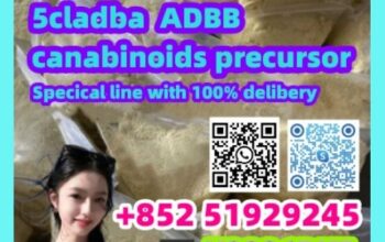 2709672-58-0 5cladba pure rew chemical powder with