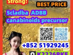 2709672-58-0 ap,hip 5cladba powder Electric Rifles