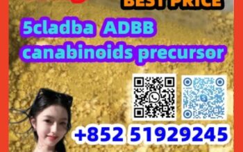 2709672-58-0 ap,hip 5cladba powder Electric Rifles