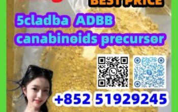 cas:2709672-58-0 5cladba our responsibility to mee