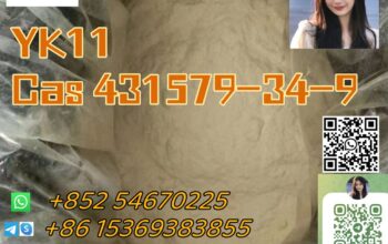 YK11 cas 431579-34-9