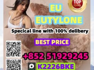 china reliable supplier cas 802855-66-9 Eutylo +