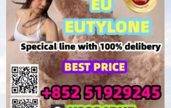 china reliable supplier cas 802855-66-9 Eutylo +