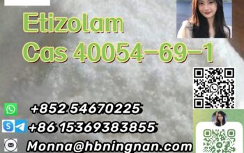 Cas 40054-69-1 Etizolam