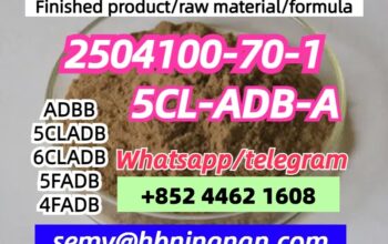 2504100-70-1 5CL-ADB-A