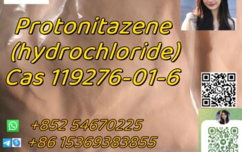 Cas 119276-01-6 Protonitazene (hydrochloride)