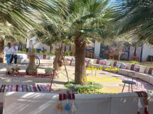 جلسات ارضيه,جلسات مودرن, خدمات تنظيم الاحتفالات