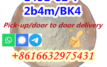 1451-82-7 2-Bromo-4-Methylpropiophenone Powder