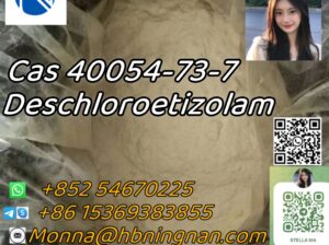 Cas 40054-73-7 Deschloroetizolam