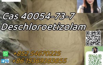 Cas 40054-73-7 Deschloroetizolam