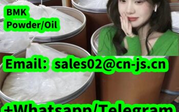 20320-59-6 BMKPowder/Oil high purity