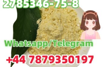 Good Price CAS 2785346-75-8