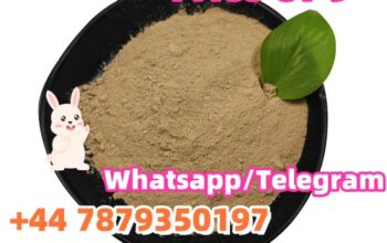 CAS 14188-81-9 factory safe delivery