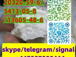BMK/PMK CAS 28578-16-7/20320-59-6/5413-05-8/13605-