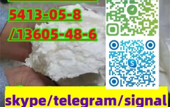 BMK/PMK CAS 28578-16-7/20320-59-6/5413-05-8/13605-