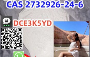 CAS 2732926-24-6 N-ethyl-2-[5-nitro-2- Fast deli