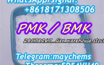 PMK powder 28578-16-7 high yield pmk oil factory p