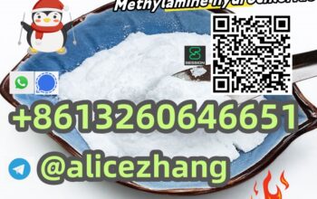 Factory supply CAS 593-51-1 Methylamine hcl safe d