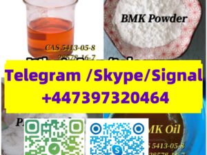 BMK/PMK CAS 28578-16-7/20320-59-6/5413-05-8/13605-