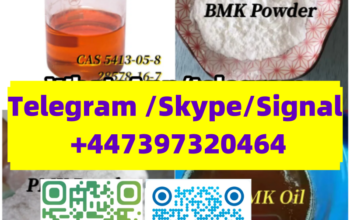 BMK/PMK CAS 28578-16-7/20320-59-6/5413-05-8/13605-