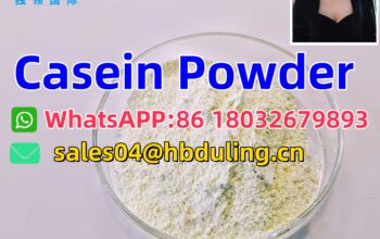 Casein CAS:9000-71-9 Whatsapp+86 18032679893