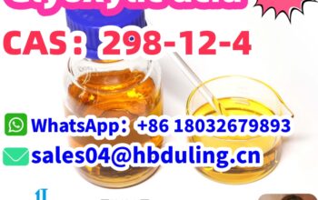 Glyoxylic acid CAS 298-12-4 WA+86 18032679893