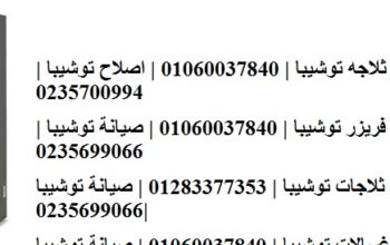 خدمة صيانة ثلاجات توشيبا حدائق الاهرام 01207619993