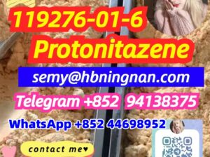 Protonitazene (hydrochloride) 119276-01-6 