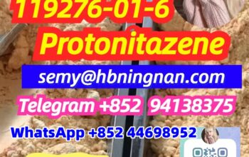 Protonitazene (hydrochloride) 119276-01-6 