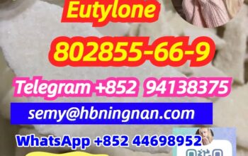 Eutylone 802855-66-9