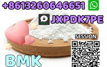 Supply BMK CAS 5449-12-7 Germany warehouse stock b