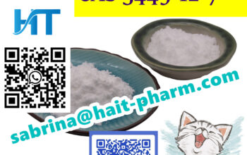 bmk powder top quality cas 5449-12-7 hot sell in G
